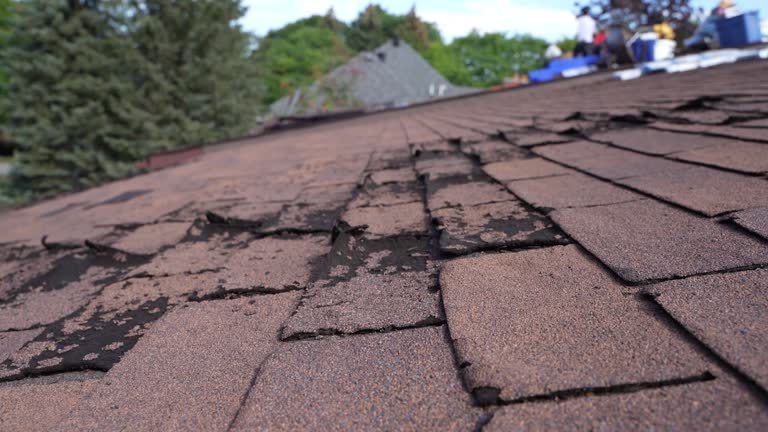 Best Roof Leak Repair  in Columbiana, OH